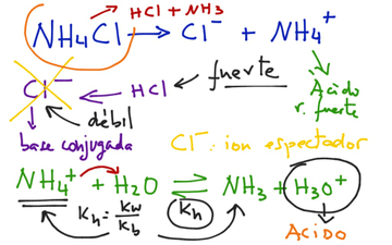 HIDRÓLISIS 1