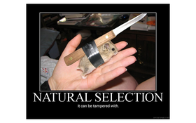 Natural Selection 