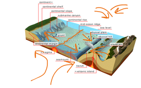 Ocean Floor