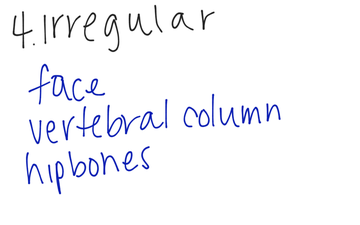 Arrangement And Functions Of Bones