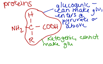 Metabolism 1