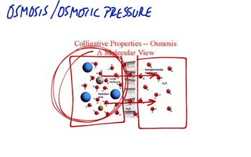 Colligative Properties