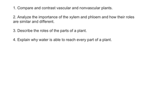 Vascular Plants