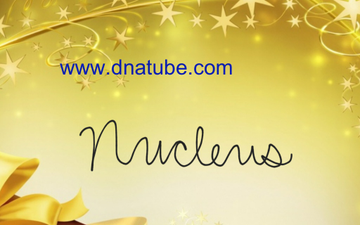 Lesson thumbnail